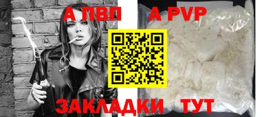 амф Сланцы